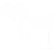 logo---blanco-transp